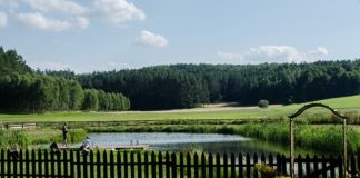 Gdzie szukać działek i gruntów?