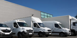 pasy transportowe