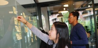 Czym różni się ocena pracownika od oceny zespołu i jakie są korzyści z oceny zespołu?