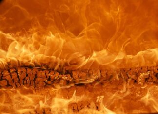 Jak zbudować markę? Jak zbudować markę?