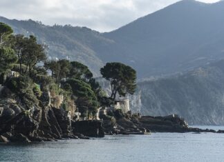 Ile kosztuje plakat u grafika?