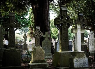 Co ma być zamiast wosu? Co ma być zamiast wosu?