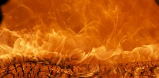 Jak budować markę osobistą w social mediach?