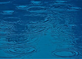 Co ma wpływ na charakter człowieka? Co ma wpływ na charakter człowieka?