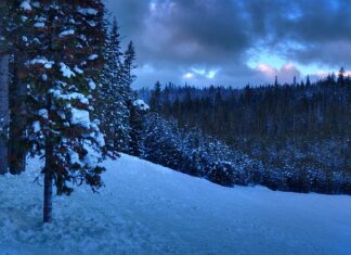 Co można robić po licencjacie z biologii? Co można robić po licencjacie z biologii?