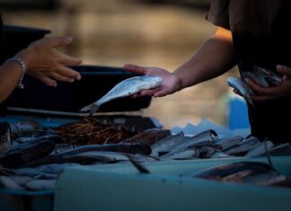 Jak sprzedawać swoje zdjęcia na Instagramie? Jak sprzedawać swoje zdjęcia na Instagramie?