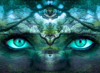 Co składa się na tożsamość marki?