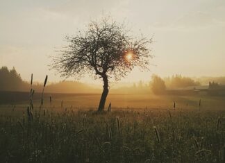 Kiedy bliską osobą rani? Kiedy bliską osobą rani?