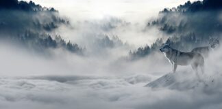 Jak poradzić sobie ze złą atmosfera w pracy?