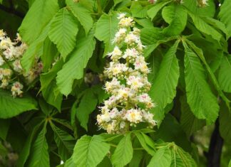 Czy można zdać maturę w 2 klasie liceum?