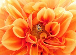 Po czym poznać że grupa jest efektywną? Po czym poznać że grupa jest efektywną?