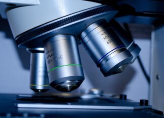 Gdzie wykorzystuje się biotechnologia?