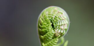 Jak rozwijać zawodnika w FIFA 23?