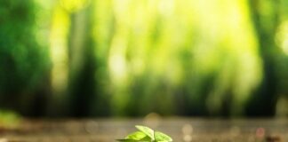 Jak znaleźć klientów biznesowych?