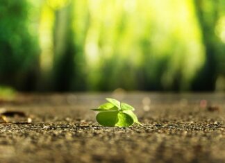 Jak znaleźć klientów biznesowych?