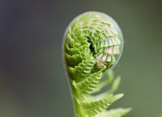 Jak rozwijać pozytywne relacje międzyludzkie? Jak rozwijać pozytywne relacje międzyludzkie?