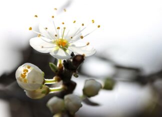 Dlaczego nie dostaję ofert na LinkedIn? Dlaczego nie dostaję ofert na LinkedIn?