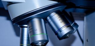 Jak wygląda praca po biotechnologii?