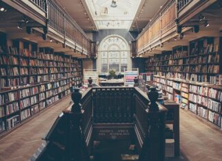 Co jeść na inteligencję? Co jeść na inteligencję?