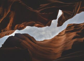 Jakie są formy współpracy? Jakie są formy współpracy?