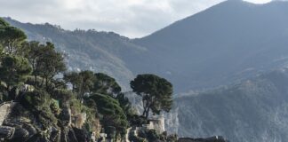 Ile kosztuje wyprodukowanie 1 koszulki?