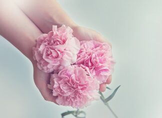 Czy można mieć 2 gospodarstwa domowe?