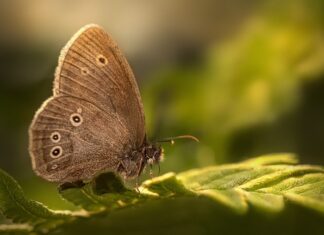 Czy Hit jest w 3 klasie liceum?