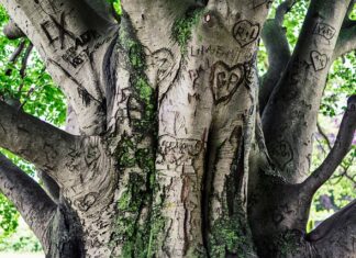 Co to jest utrwalenie wizerunku?