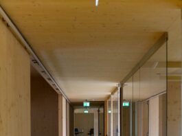 Czy ścianki akustyczne poprawiają jakość pracy biurowej? Czy ścianki akustyczne poprawiają jakość pracy biurowej